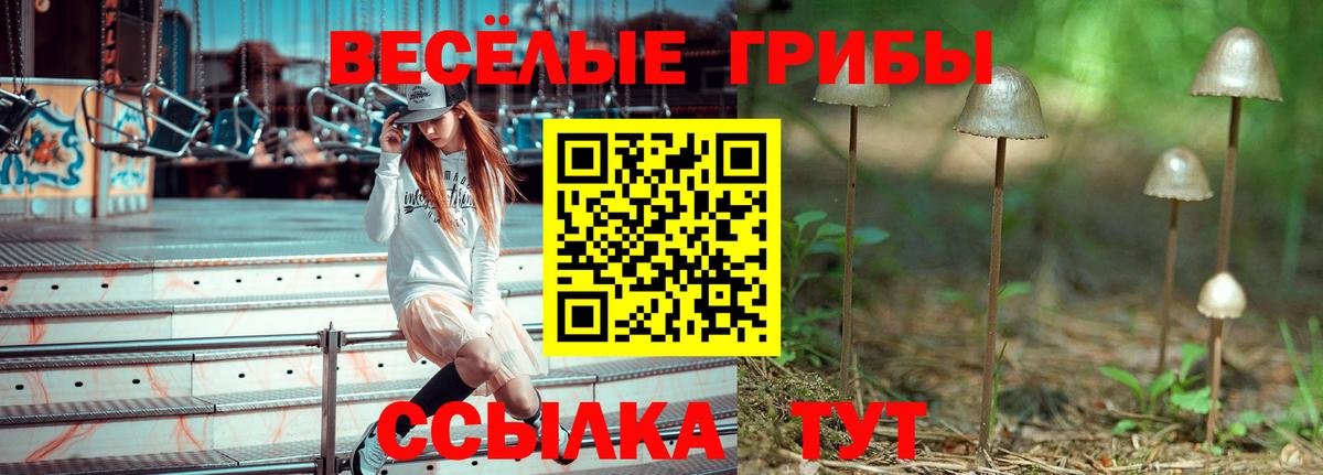 Псилоцибиновые грибы мицелий Усинск